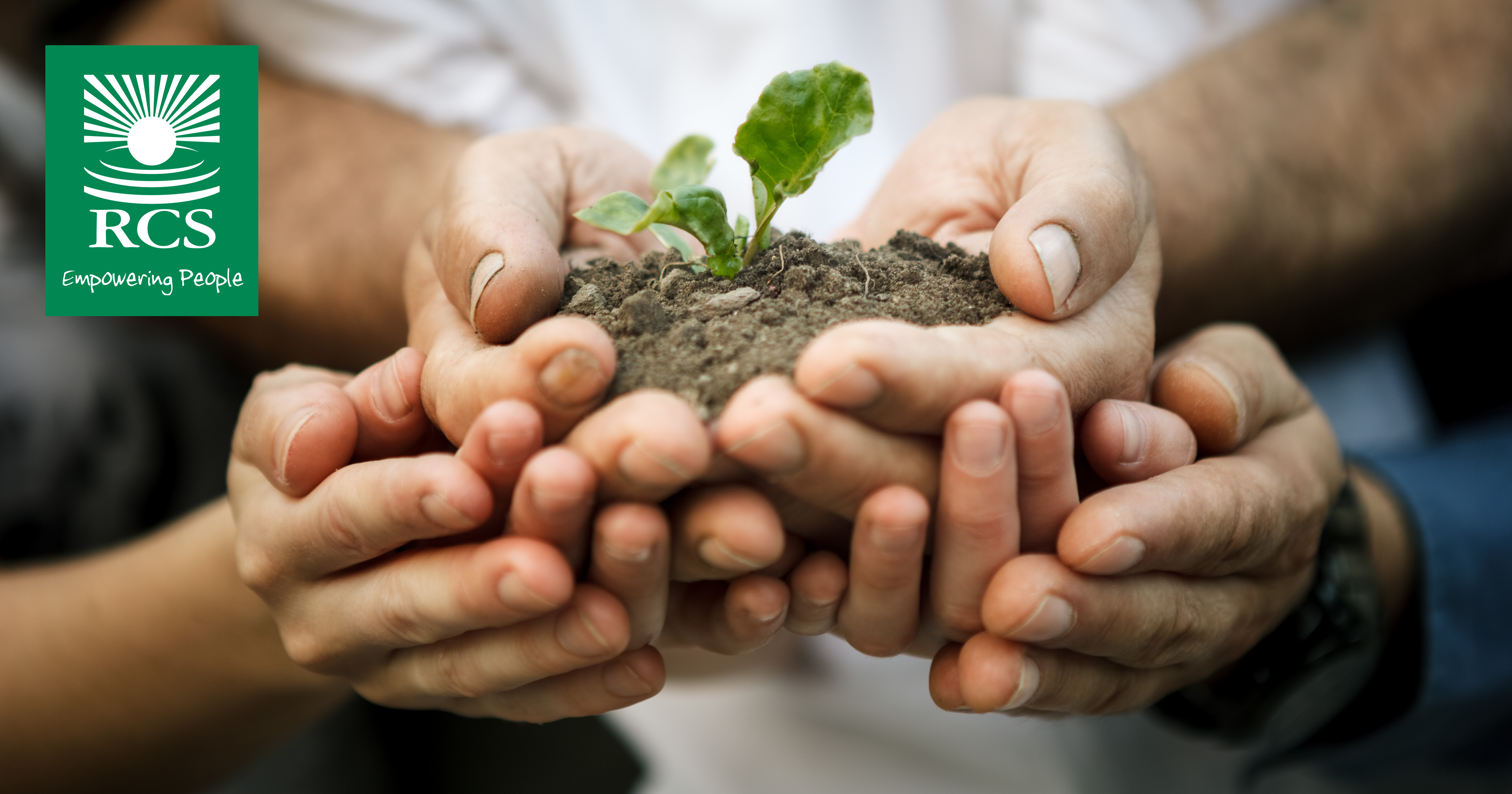 Заботящаяся почва. Растение в руках. Забота об окружающей среде. Растение в ладонях. Почва в руках.
