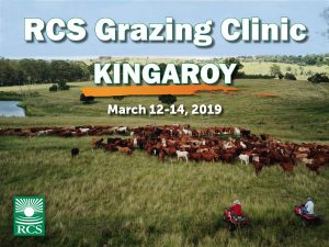 RCS Grazing Clinic - Kingaroy. 12-14 March 2019. People on motorbikes walking cattle.