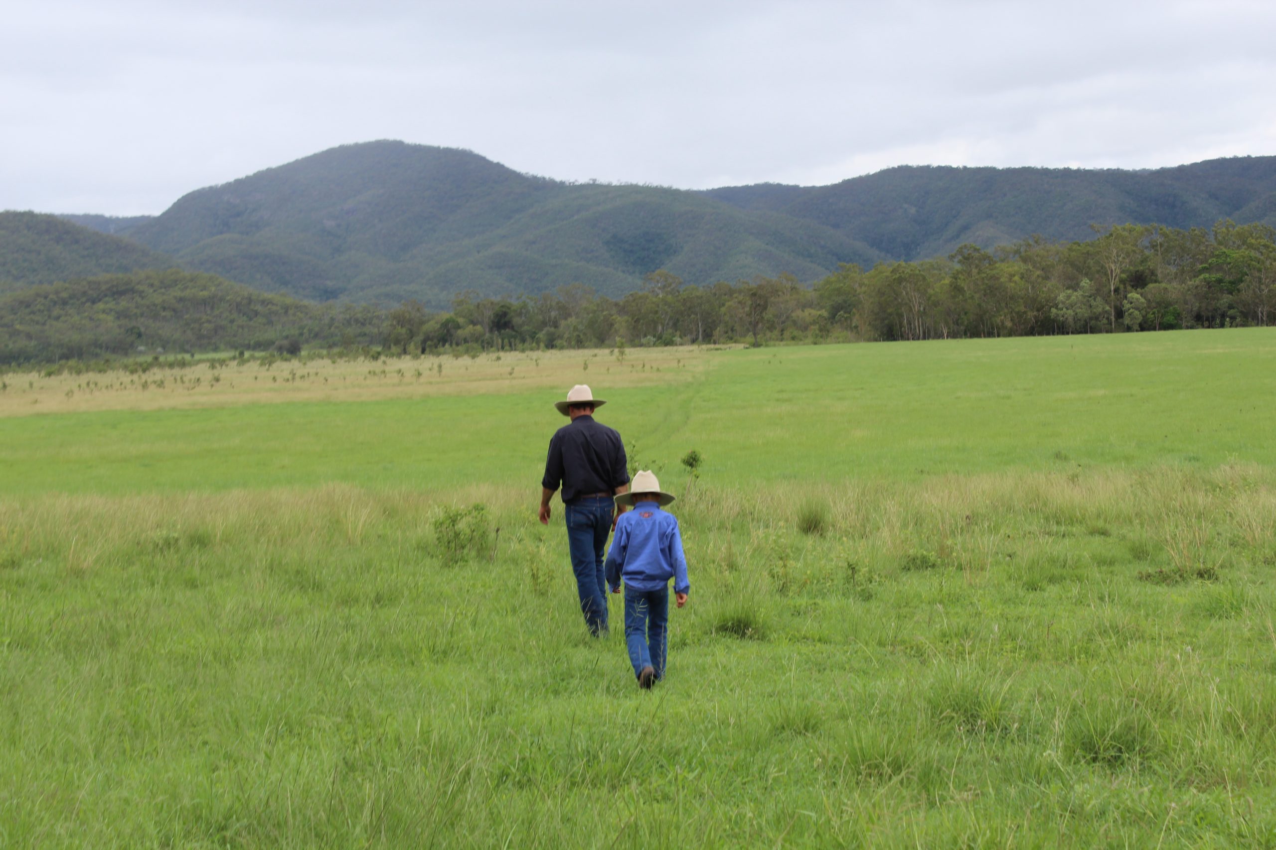 Father and son walking in a paddock towards hills