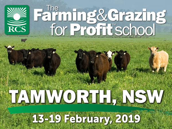 Farming and grazing for profit school tamworth. Cattle in green green grass.