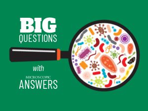 Big questions with microscopic answers. Microbes through the looking glass