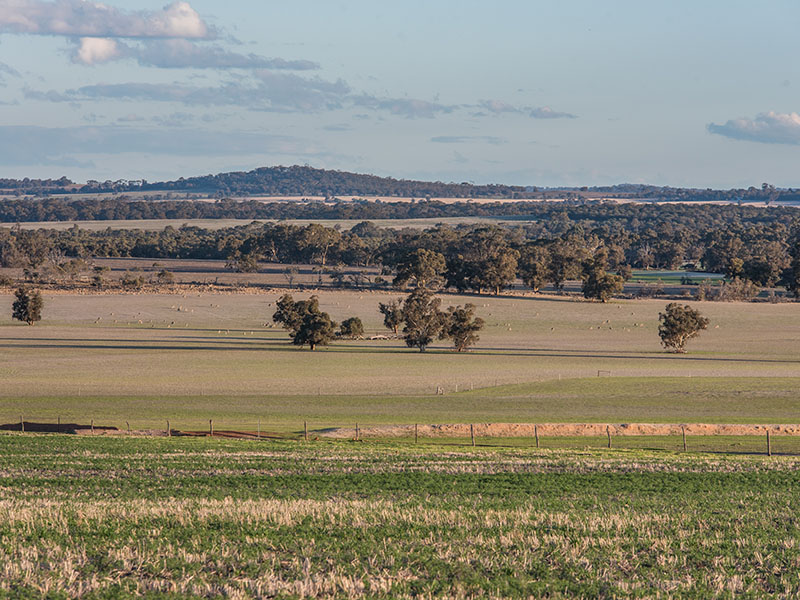 Pasture and hills in Western Australia